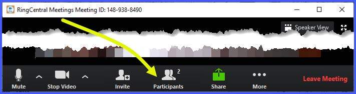 where to find participants in meeting