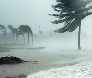 Strong rain storm on ocean coast with sand beach and blowing palm trees